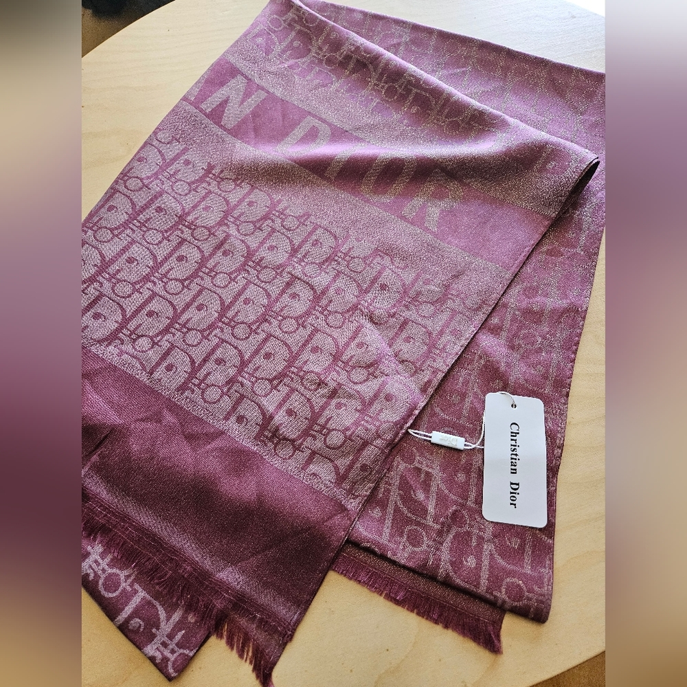 Scarf Christian Dior Brand Original European Luxury Item with Tags in Dior bag